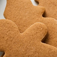 Sur La Table Gingerbread Cookie Mix