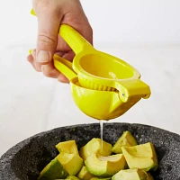 Sur La Table Lemon Juicer