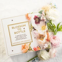 Savannah Bee Company Book of Honey, Set of 6