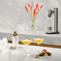 Breville InFizz Fusion Sparkling Beverage Maker