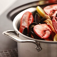 All-Clad D5 Brushed Stainless Steel Stockpot, 8 qt.