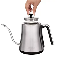 Krups Electric Gooseneck Kettle