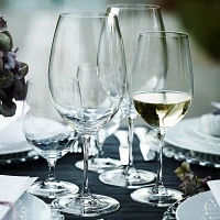 RIEDEL Vinum Water Glass, Set of 2