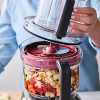 Breville Paradice 9-Cup Food Processor