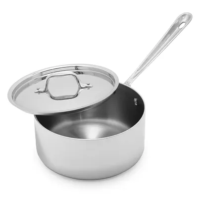 All-Clad Stainless Steel Saucepan with Lid