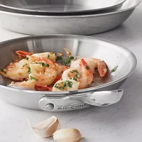 All-Clad D3 Stainless Steel Skillet with Lid