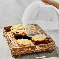 Sur La Table Water Hyacinth Food Dome and Tray