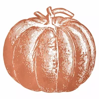 Hester & Cook Pumpkin Die-Cut Paper Placemats, Set of 12