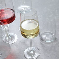 Schott Zwiesel Sensa Stemless Wine Glasses