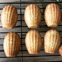 Sur La Table Malted Vanilla Madeleines