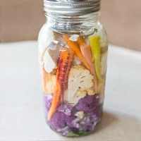 Kraut Source Fermentation Kit