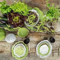 Bordallo Pinheiro Artichoke Dinner Plates