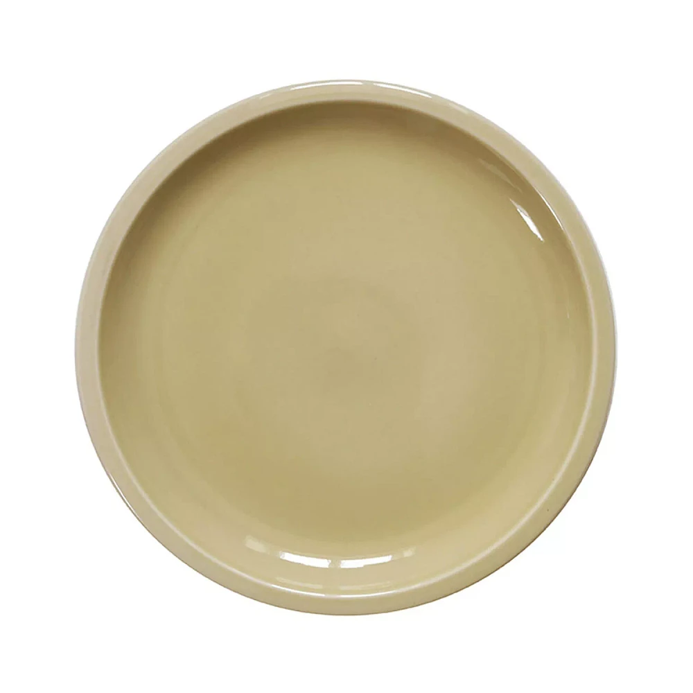Jars Cantine Dinner Plates