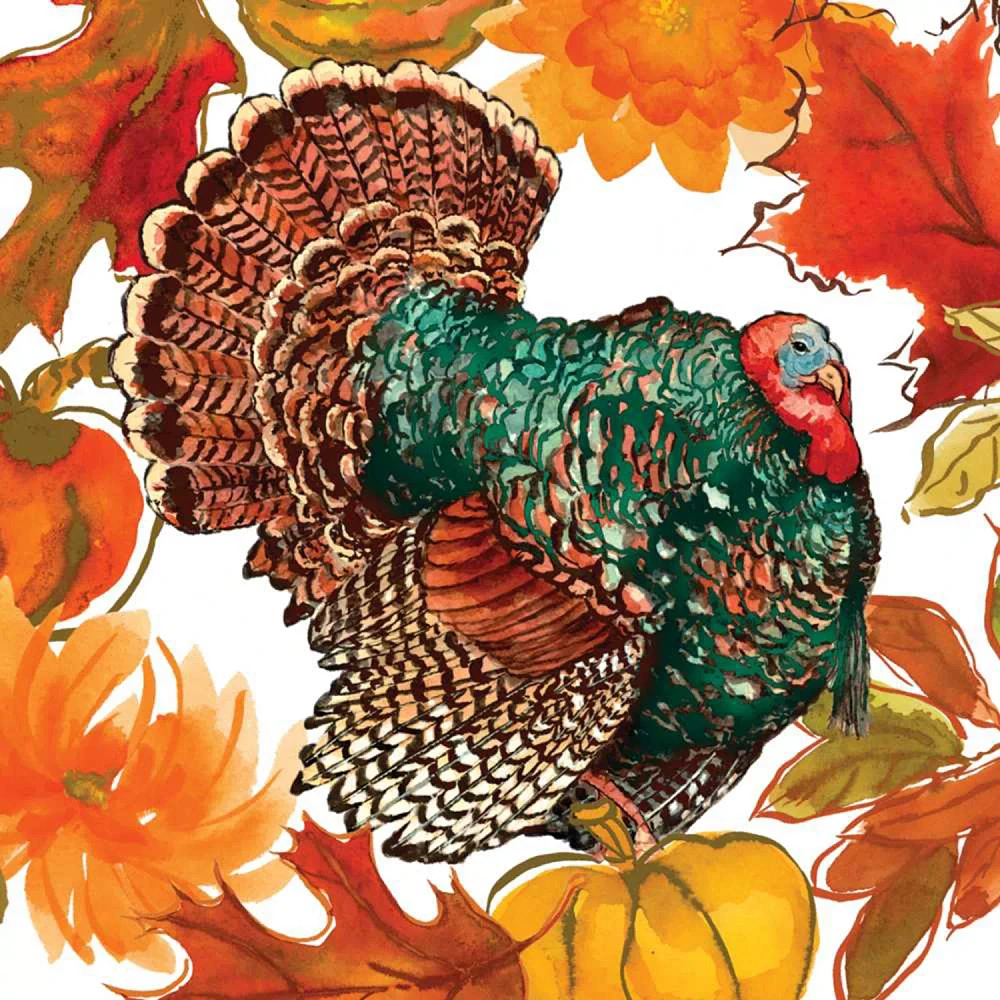 Turkey Tom Cocktail Napkins, Set of 20