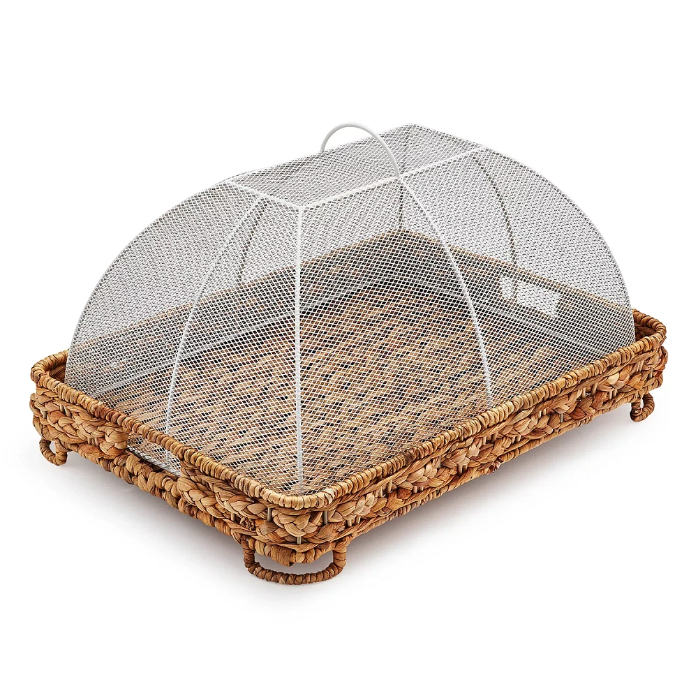 Sur La Table Water Hyacinth Food Dome and Tray