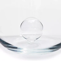 Zwiesel 1872 Air Sense Red Wine Decanter