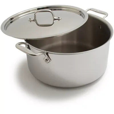 All-Clad Stainless Steel Stockpot