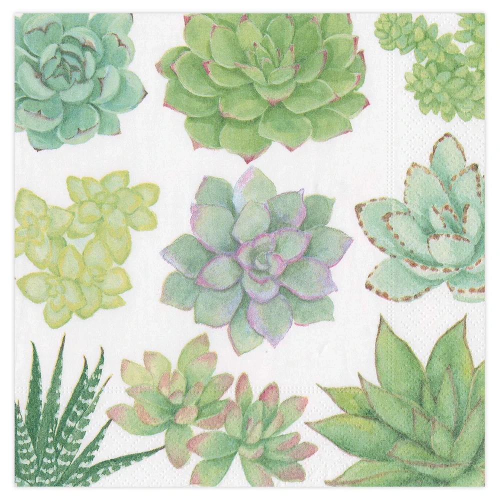 Succulents Cocktail Napkins, Set of 20