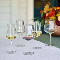 Schott Zwiesel Vervino Soft Red Wine Glasses
