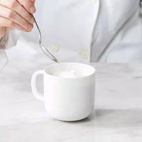 Fortessa Gourmet Essentials Bone China Coupe Mugs, Set of 4