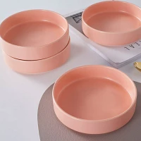 Stone Lain Stella Porcelain Round Pasta Bowls