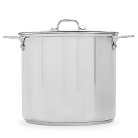 All-Clad Stainless Steel Stockpot, 16 qt.