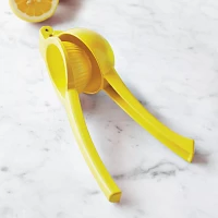 Sur La Table Lemon Juicer