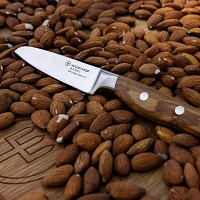 Wüsthof Amici Paring Knife, 3.5"