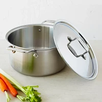 All-Clad D5 Brushed Stainless Steel Stockpot