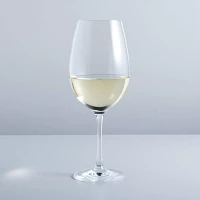 Sur La Table Chateau Full White Wine Glass