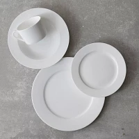 Fortessa Gourmet Essentials Bone China Classic Dinner Plates, Set of 4