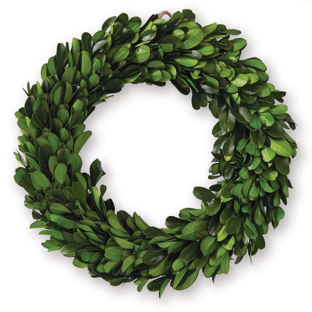 Mini Preserved Boxwood Wreath