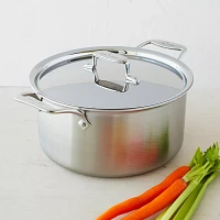 All-Clad D5 Brushed Stainless Steel Stockpot, 8 qt.