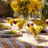 Couleur Nature Avignon Tablecloth