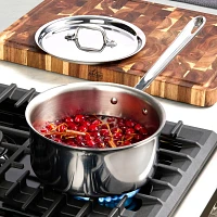 All-Clad D3 Stainless Steel 10-Piece Set