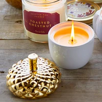 Sur La Table Figural Acorn Toasted-Chestnut Soy Candle, 5.1 oz.