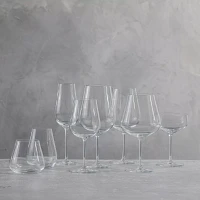 Schott Zwiesel Air Coupe Glasses