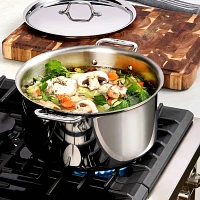 All-Clad D3 Stainless Steel 10-Piece Set