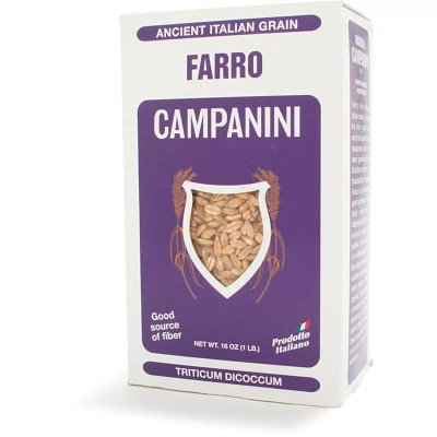 Farro Campanini