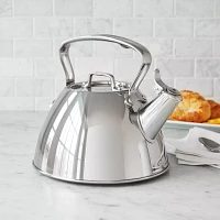 All-Clad Stainless Steel Tea Kettle