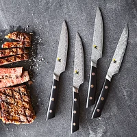 Miyabi Hibana 4-Piece Steak Knife Set