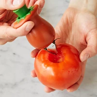 Chef’n Hullster Tomato Corer