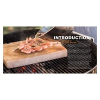 Sur La Table Salt Block Grilling: 70 Recipes for Outdoor Cooking with Himalayan Salt Blocks