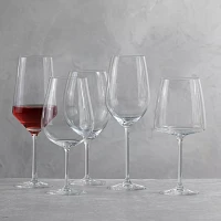 Schott Zwiesel Sensa Full-Red Wine Glass