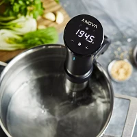 Anova Precision Cooker