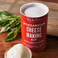 Sur La Table Mozzarella Cheese Making Kit