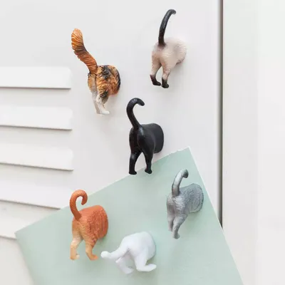 Kikkerland Cat Booty Magnets, Set of 6