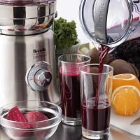 Breville Juice Fountain XL Pro