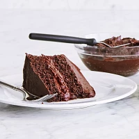 Sur La Table Double Dark Chocolate Layer Cake