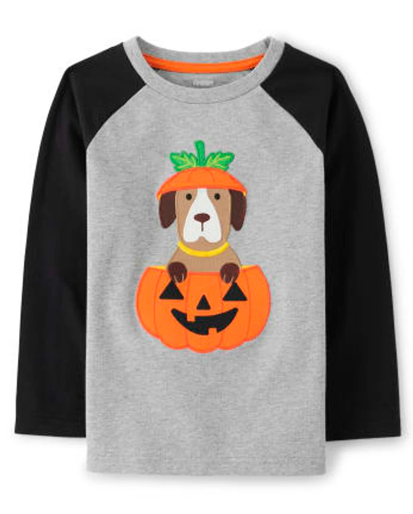 Boys Embroidered Dog Raglan Top - Trick or Treat